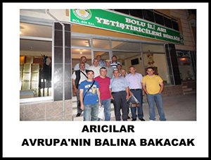 ARICILAR AVRUPA'NIN BALINA BAKACAK