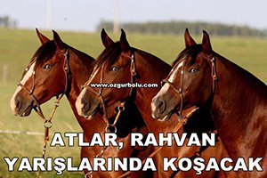 ATLAR, RAHVAN YARIŞLARINDA KOŞACAK