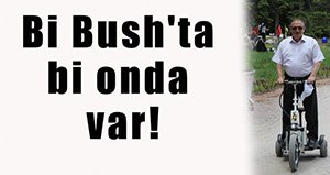 Bir Bush'ta bir Bolu'da