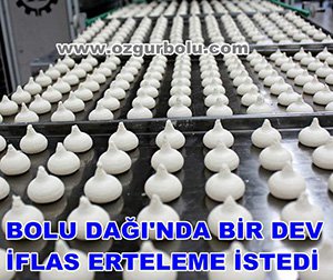 BOLU DAĞI'NDA BİR DEV İFLAS ERTELEME İSTEDİ