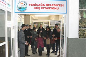 Bolu'da 190 Kuş ve 20 endemik bitki türü tespit edildi