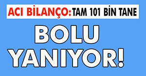 BOLU'DA KORKUTAN TABLO!