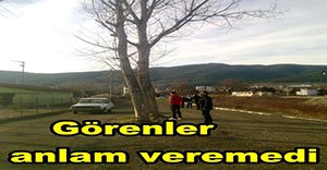 Bu yolu görenler şaşırıyor