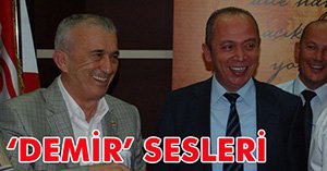 CAVİT DEMİR SESLERİ
