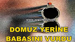 DOMUZ YERİNE BABASINI VURDU