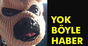 FİLM GİBİ HIRSIZLIK!