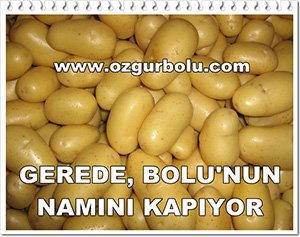 GEREDE, BOLU'NUN NAMINI KAPIYOR