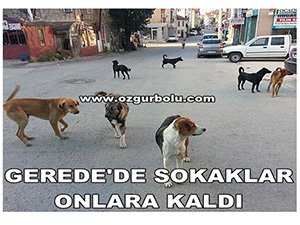 GEREDE'DE SOKAKLAR ONLARA KALDI