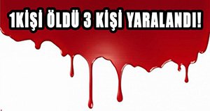 Göynük yolu kana bulandı