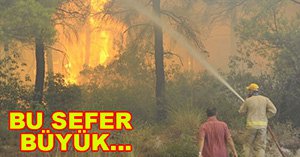 GÖYNÜK'TE BÜYÜK YANGIN!