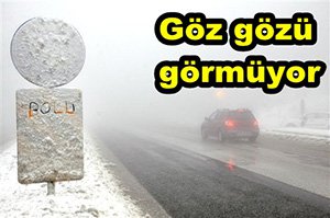 Göz gözü görmüyor