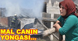 Gözyaşlarına boğuldular