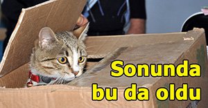 Herşey unutuldu ama...