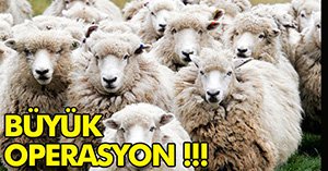 JANDARMA HER YERDE ONLARI ARIYOR