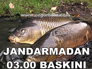 KAÇAK AVCILARA 12 BİN LİRA CEZA KESİLDİ