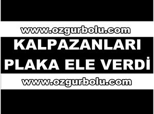 KALPAZANLARI PLAKA ELE VERDİ