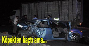 KÖPEĞE ÇARPMAMAK İÇİN KAMYONUN ALTINDA KALDI!