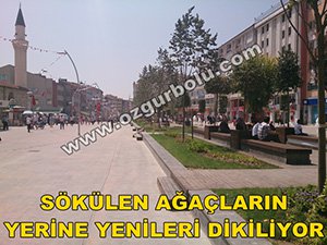 KURUYAN AĞAÇLARIN YERİNE YENİLERİ DİKİLİYOR