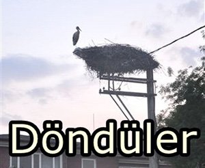 Leylekler yuvalarına döndü