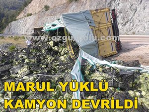 MARUL YÜKLÜ KAMYON DEVRİLDİ