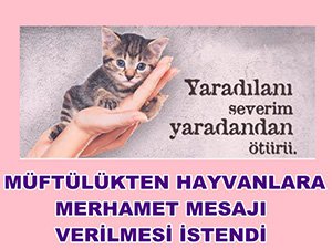 MÜFTÜLÜKTEN HAYVANLARA MERHAMET MESAJI VERİLMESİ İSTENDİ