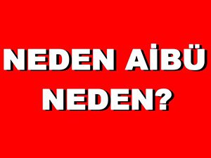 NEDEN? #nedenaibu