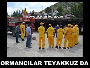 ORMANCILAR TEYAKKUZ DA