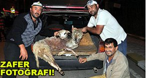 SALDIRI SONRASI MUTLULUK RESİMİ