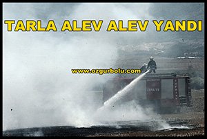 TARLA ALEV ALEV YANDI