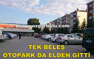 TEK BELEŞ OTOPARK DA ELDEN GİTTİ