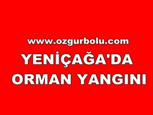 YENİÇAĞA'DA ORMAN YANGINI