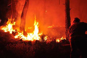 ABANT'TA ORMAN YANGINI...