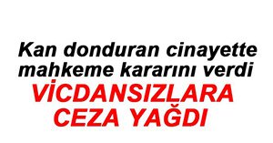 AKIL ALMAZ CİNAYETE MÜEBBET