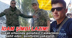 ASKERLERİMİZİ ŞEHİT EDEN 3 TERÖRİST YAKALANDI
