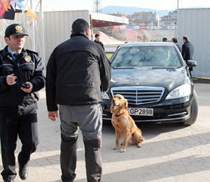 BAŞBAKAN'IN ARACI POLİS KÖPEĞİ İLE ARANDI!