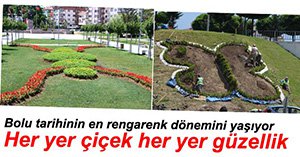 BOLU ÇİÇEK BAHÇESİNE DÖNDÜ...
