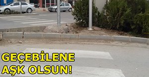 BOLU'DA BİR GARİP YAYA GEÇİDİ!