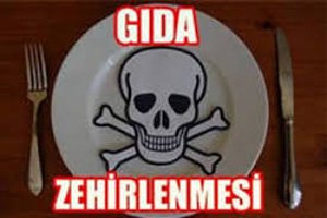 BOLU'DA BİR GÜNDE 13 KİŞİ ZEHİRLENDİ!