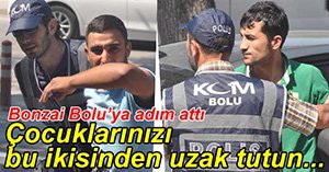 BOLU'DA BONZAİ OPERASYONUNDA İKİ KİŞİ GÖZALTINDA
