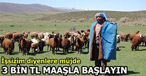 ÇALIŞMAK İSTEYENLERE 3 BİN TL MAAŞLA İŞ...