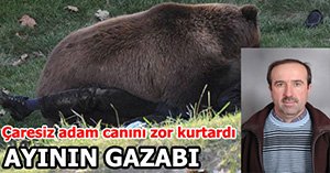 ÇARESİZ ÇOBAN AYIYA KURBAN OLACAKTI