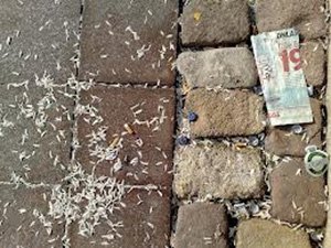 ÇEKİRDEK KABUĞUN'DAN KAVGA ÇIKTI!