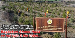 DAVUTOĞLU ÇİFTİ İÇİN 2 BİN FİDAN DİKİLDİ...