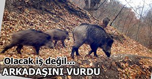 DOMUZ YERİNE ARKADAŞINI VURDU