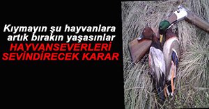 GÖYNÜK'TE AV YASAĞI!