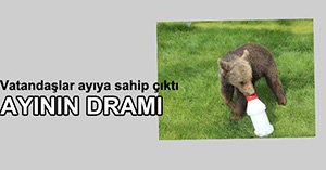 GÖZLERİ GÖRMEYEN AYI KÖYE İNDİ