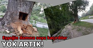 GÖZLERİ İYİCE DÖNMÜŞ...