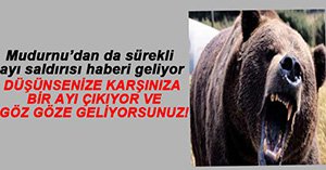 İMDADINA KÖPEKLER YETİŞTİ