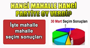 İŞTE MAHALLE MAHALLE SEÇİM SONUÇLARI