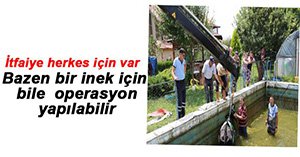 İTFAİYE İNEK KURTARDI